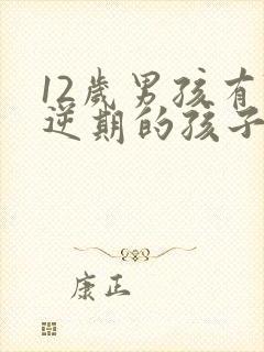 12岁男孩有叛逆期的孩子怎么去引导