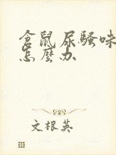 仓鼠尿骚味太大怎么办