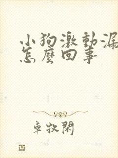 小狗激动漏尿是怎么回事