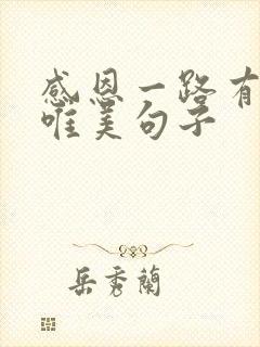 感恩一路有你的唯美句子