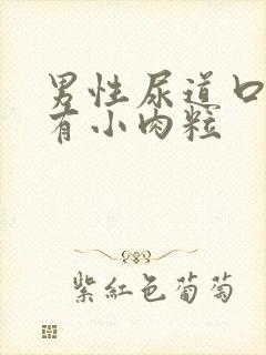 男性尿道口上面有小肉粒