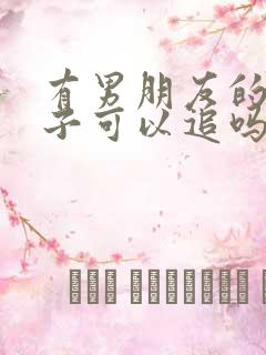 有男朋友的女孩子可以追吗