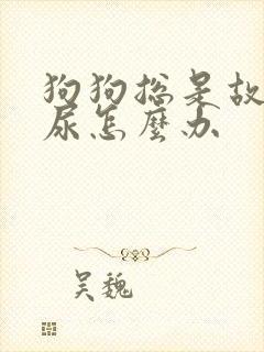 狗狗总是故意乱尿怎么办