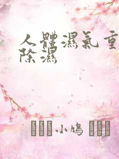 人体湿气重怎么除湿