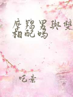 摩羯男与双子女相配吗