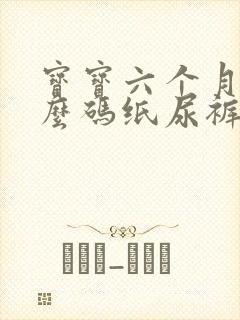 宝宝六个月用什么码纸尿裤