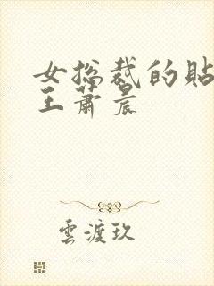 女总裁的贴身兵王萧晨