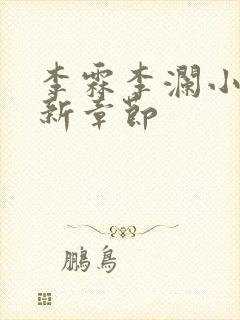 李霖李澜小说最新章节