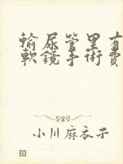 输尿管里有结石软镜手术费用多少