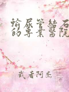 输尿管结石治疗的专业医院