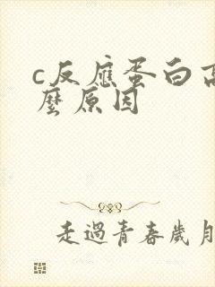 c反应蛋白高什么原因