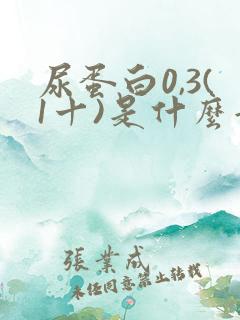 尿蛋白0,3(1十)是什么意思