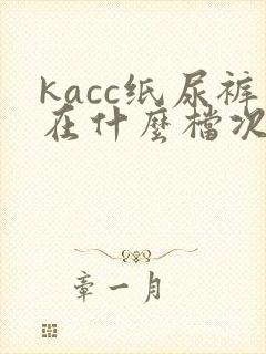 kacc纸尿裤在什么档次