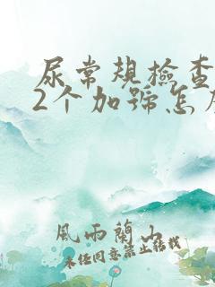 尿常规检查隐血2个加号怎么回事