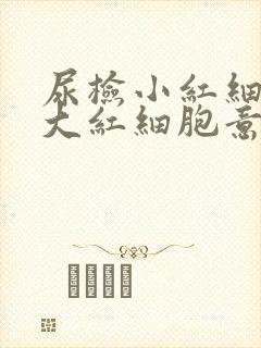 尿检小红细胞和大红细胞意义