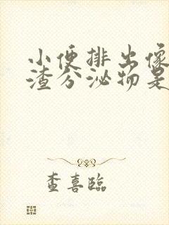 小便排出像豆腐渣分泌物是怎么回事