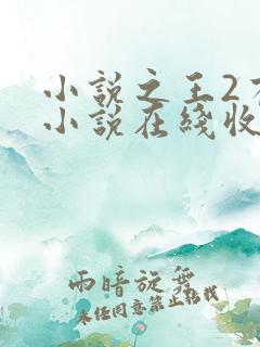 小说之王2有声小说在线收听