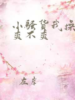 小骚货我操的你爽不爽