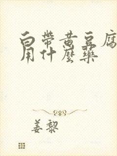 白带黄豆腐渣状用什么药