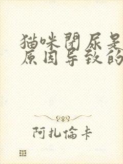 猫咪闭尿是什么原因导致的