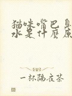 猫咪嘴巴臭流口水是什么原因