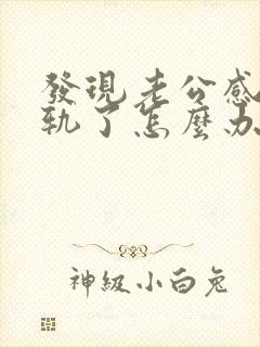 发现老公感情出轨了怎么办