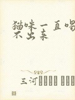 猫咪一直喝水尿不出来