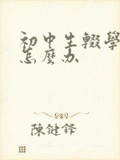 初中生辍学厌学怎么办