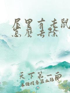 屋里有老鼠尿味怎么去除