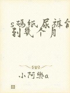 s码纸尿裤能穿到几个月