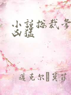 小说总裁爹地太凶猛