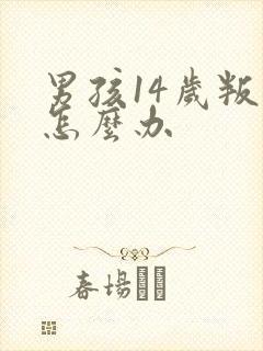 男孩14岁叛逆怎么办