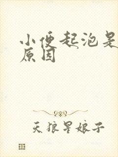 小便起泡是什么原因