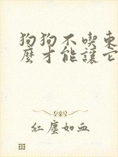 狗狗不吃东西怎么才能让它吃东西