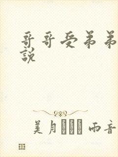 哥哥受弟弟攻小说