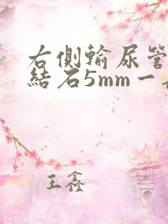 右侧输尿管下段结石5mm一般多久可以排出