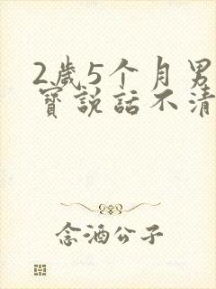 2岁5个月男宝宝说话不清楚