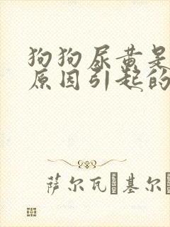 狗狗尿黄是什么原因引起的