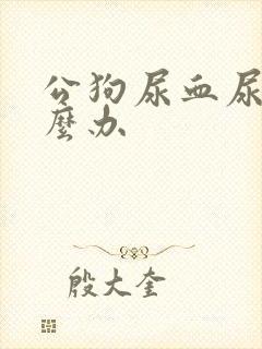 公狗尿血尿血怎么办