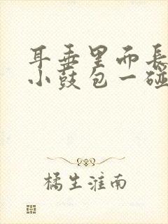 耳垂里面长了个小鼓包一碰就疼