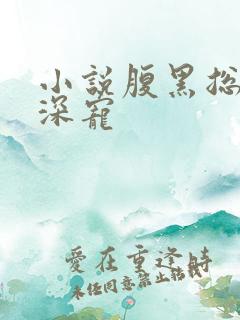 小说腹黑总裁深深宠