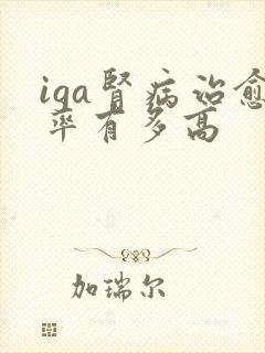 iga肾病治愈率有多高