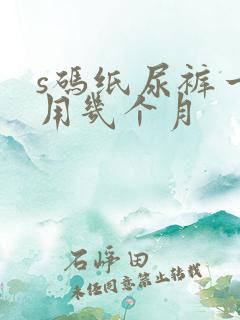 s码纸尿裤一般用几个月