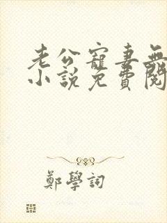 老公宠妻无度的小说免费阅读