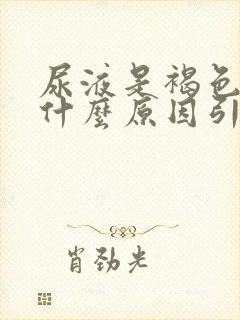 尿液是褐色的是什么原因引起