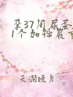 孕37周尿蛋白1个加号严重吗