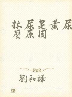 拉尿是黄尿是什么原因