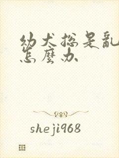 幼犬总是乱拉尿怎么办