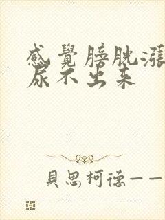 感觉膀胱涨尿又尿不出来