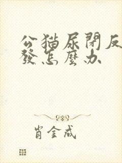 公猫尿闭反复复发怎么办